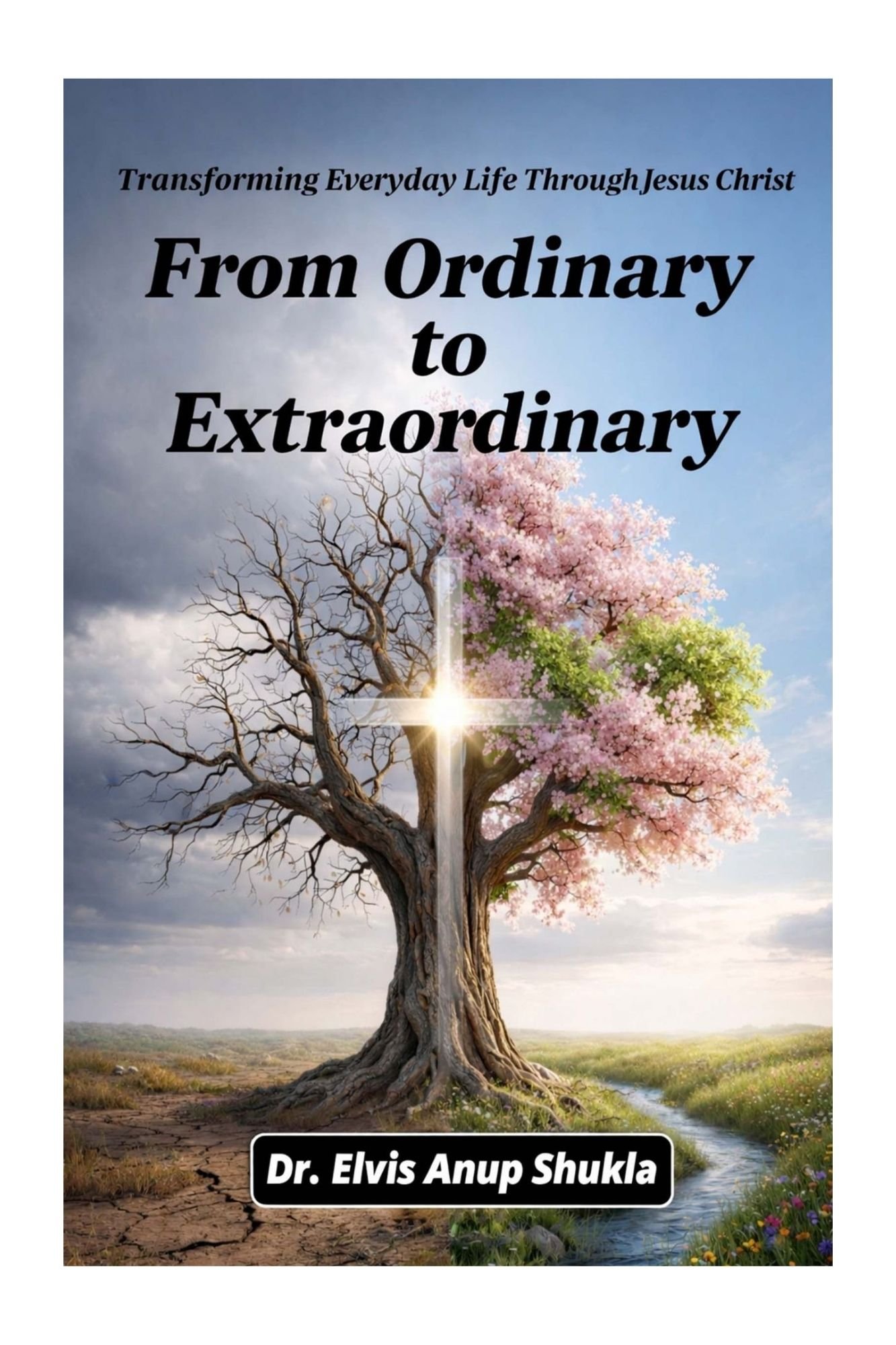 From Ordinary to Extraordinary
